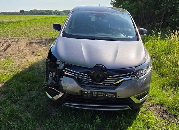 Kolizja drogowa z dzikim zwierzęciem w Sierakowie