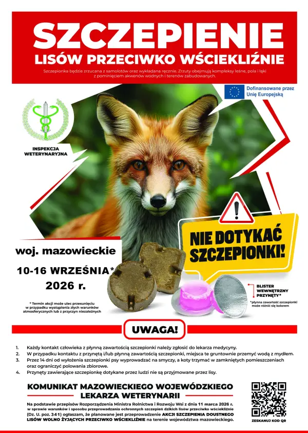 Województwo mazowieckie: akcja szczepienia lisów przeciwko wściekliźnie w wrześniu